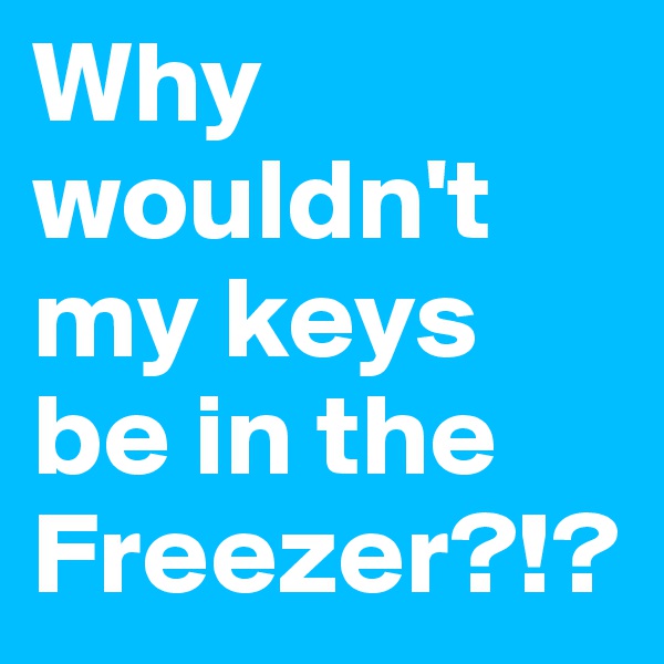 Why wouldn't my keys be in the Freezer?!?