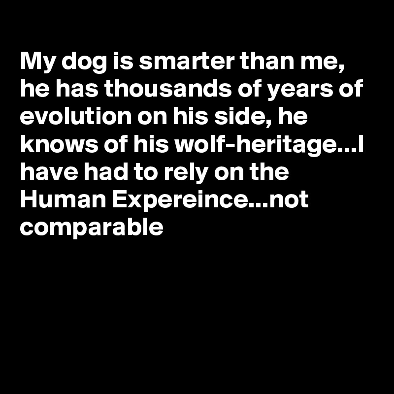 
My dog is smarter than me,  he has thousands of years of evolution on his side, he knows of his wolf-heritage...I have had to rely on the Human Expereince...not comparable




