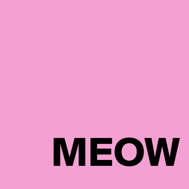 
 

     MEOW