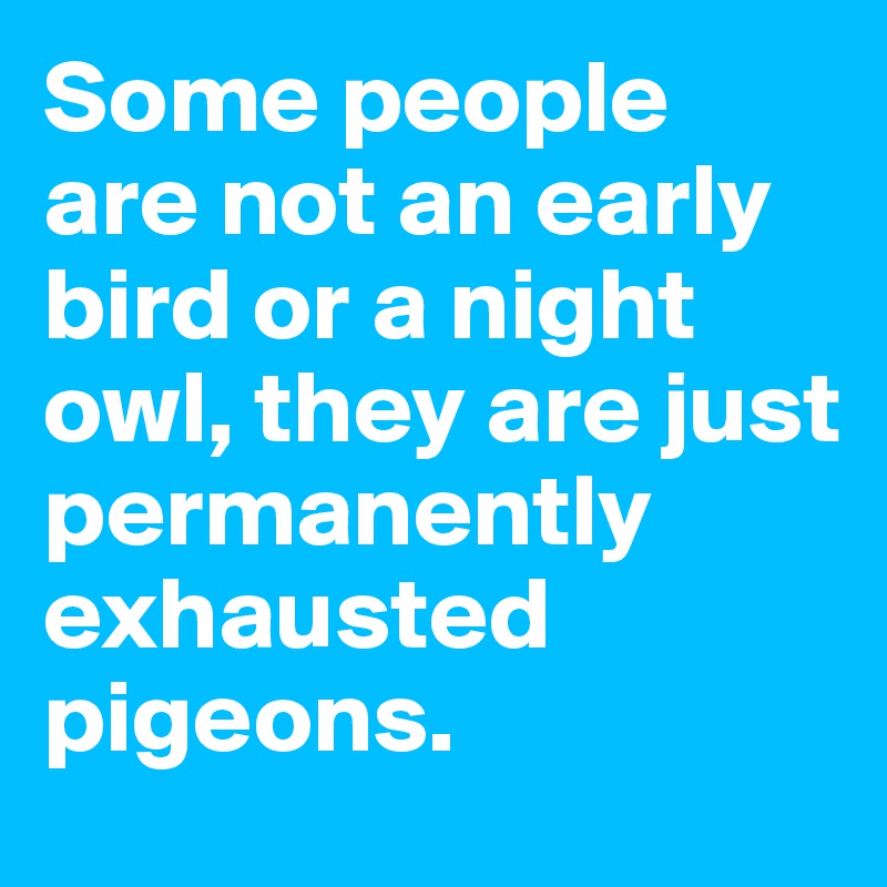 Some people are not an early bird or a night owl, they are just permanently exhausted pigeons.