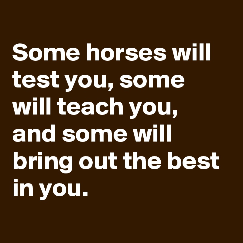 Some horses will test you, some will teach you, and some will bring out ...