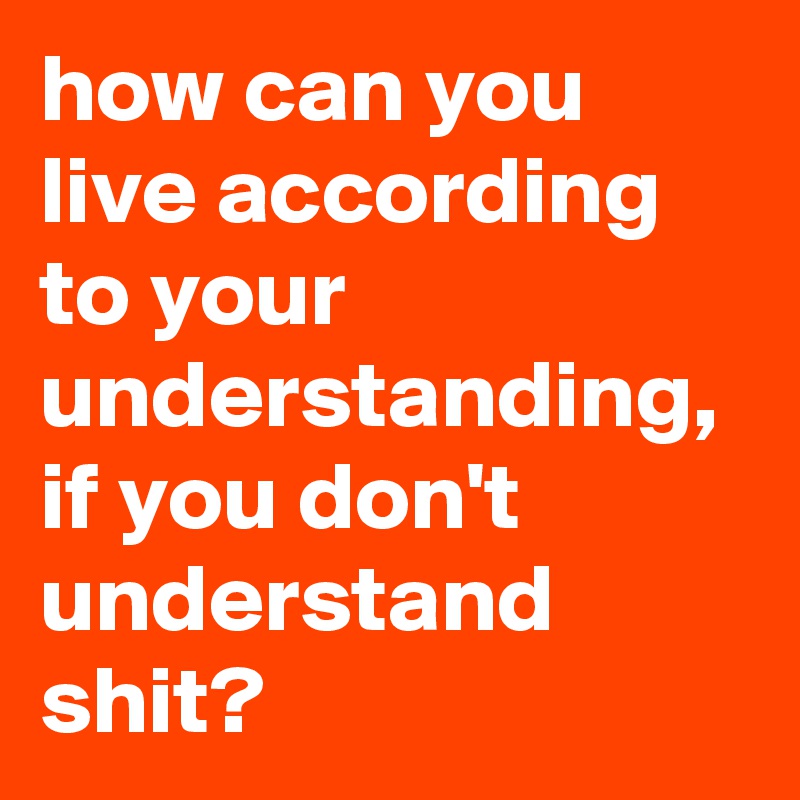 how can you live according to your understanding, if you don't understand shit?