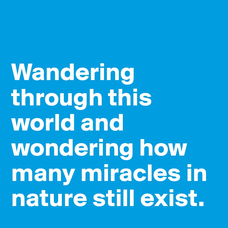 

Wandering through this world and wondering how many miracles in nature still exist. 