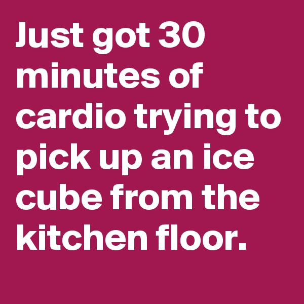 Just got 30 minutes of cardio trying to pick up an ice cube from the kitchen floor.
