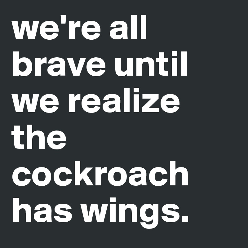 we're all brave until we realize the cockroach has wings. - Post by ...