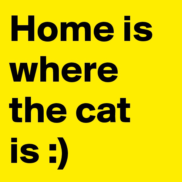 Home is where the cat is :)