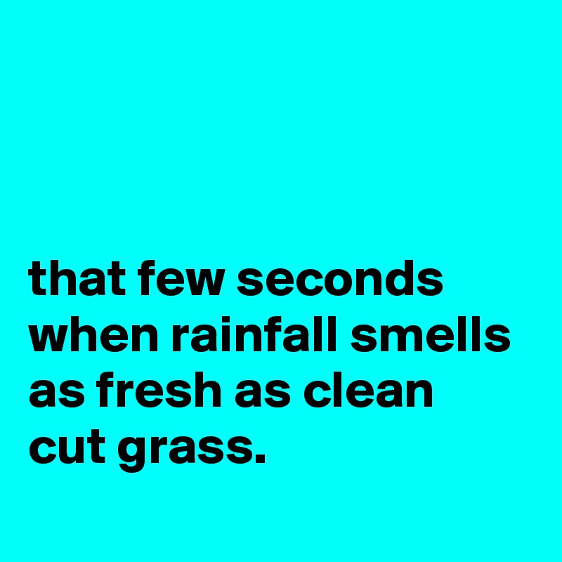 



that few seconds when rainfall smells as fresh as clean cut grass.
