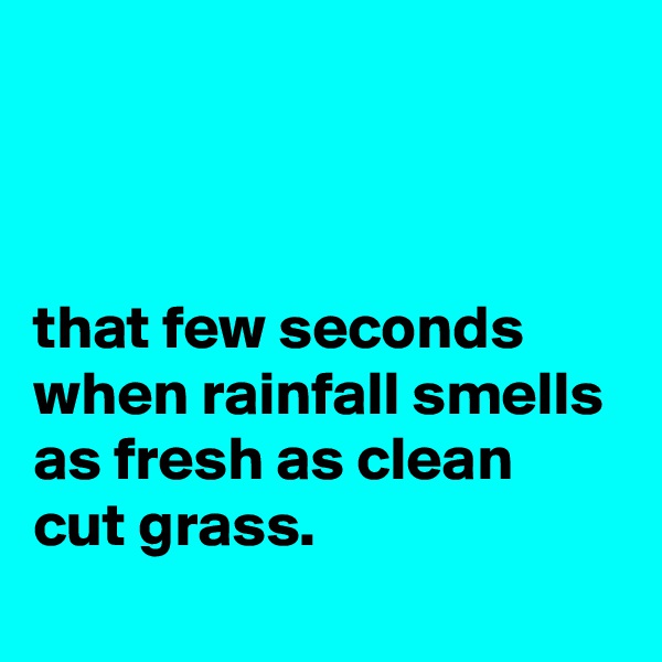 



that few seconds when rainfall smells as fresh as clean cut grass.
