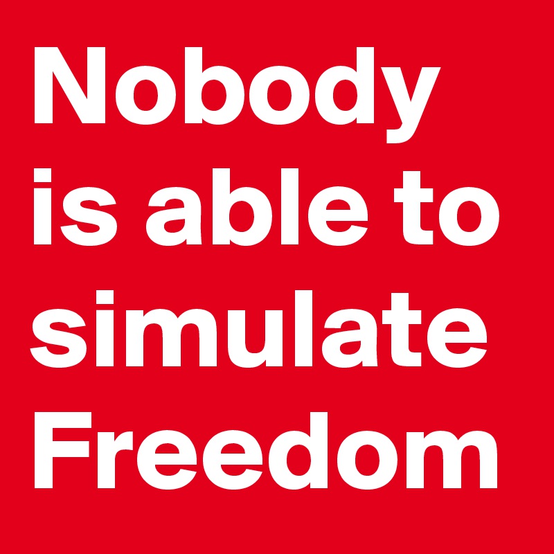 Nobody is able to simulate Freedom 