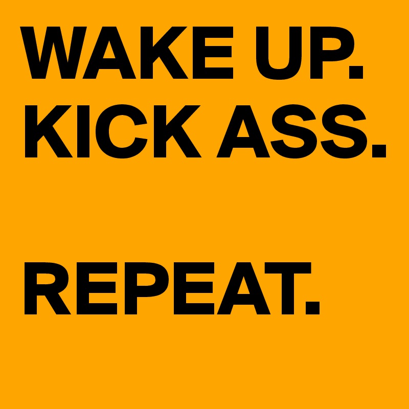 WAKE UP.  
KICK ASS. 

REPEAT. 