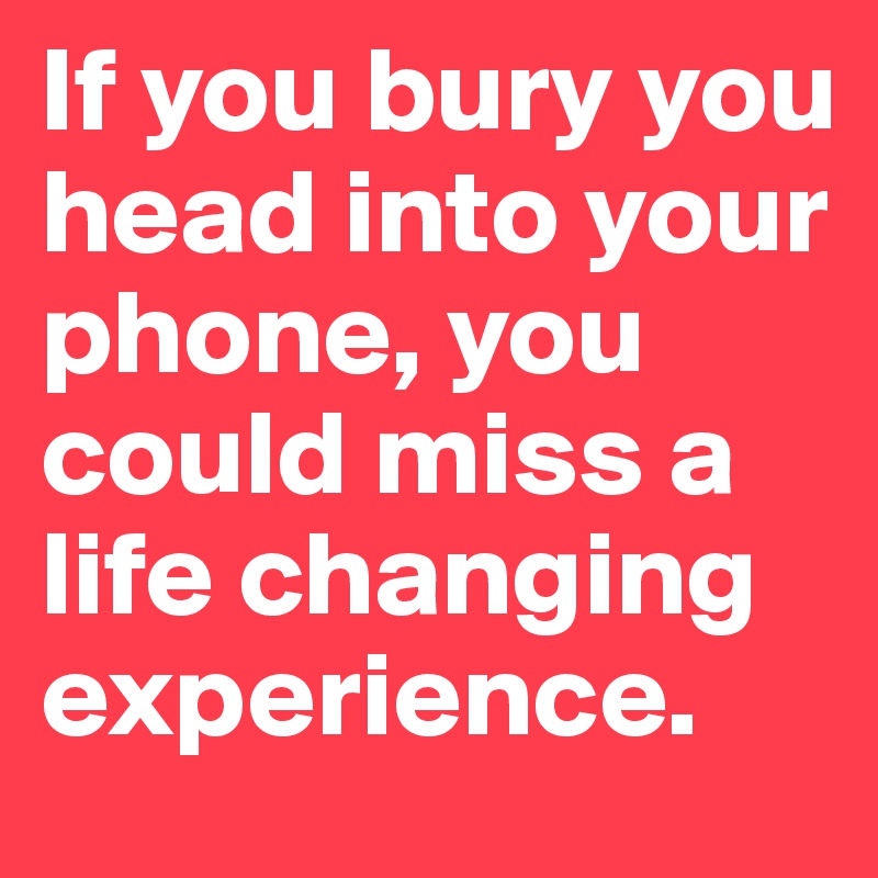 If you bury you head into your phone, you could miss a life changing experience.