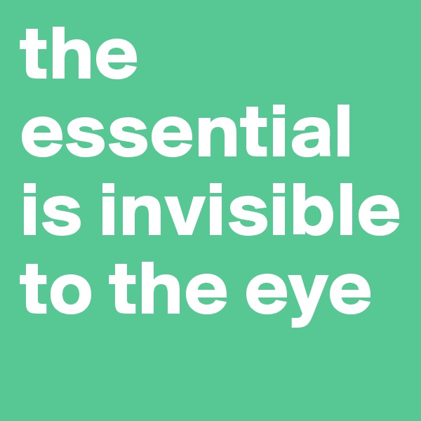 the essential is invisible to the eye