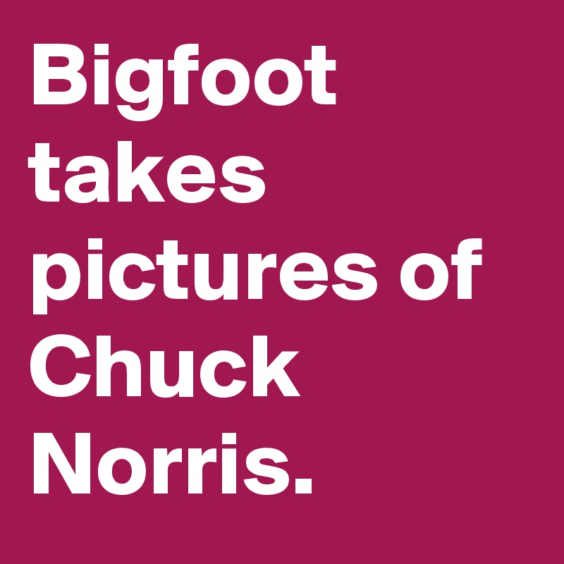 Bigfoot takes pictures of Chuck Norris.