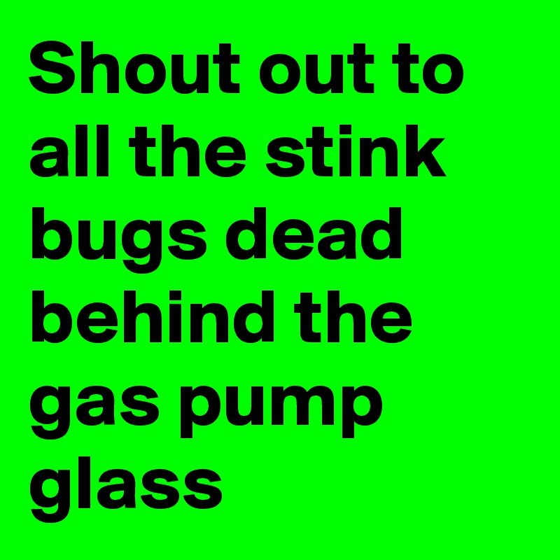 Shout out to all the stink bugs dead behind the gas pump glass