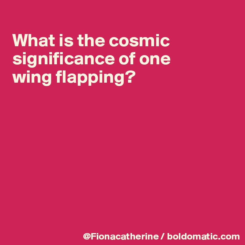 
What is the cosmic 
significance of one
wing flapping?








