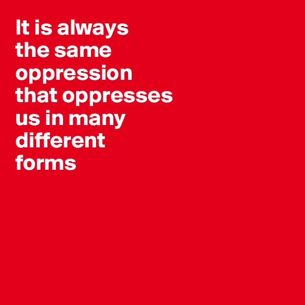 It is always 
the same 
oppression 
that oppresses 
us in many 
different 
forms




