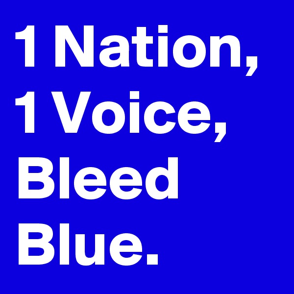 1 Nation, 1 Voice, Bleed Blue.