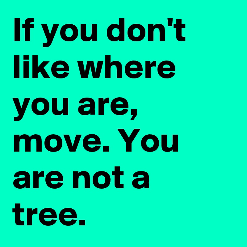 If you don't like where you are, move. You are not a tree.