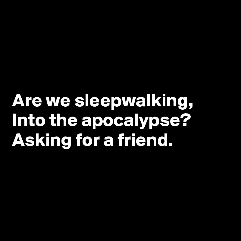 



Are we sleepwalking,
Into the apocalypse?
Asking for a friend.



