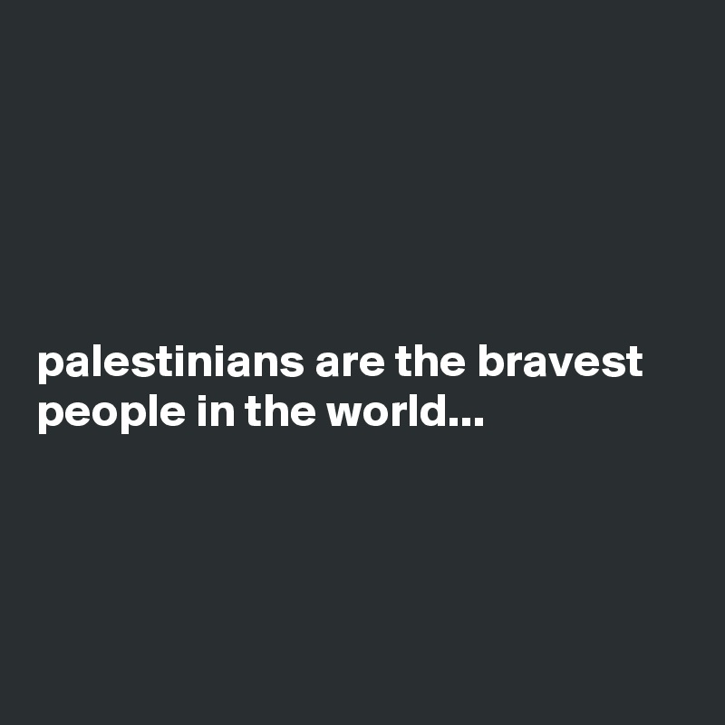 





palestinians are the bravest people in the world...




