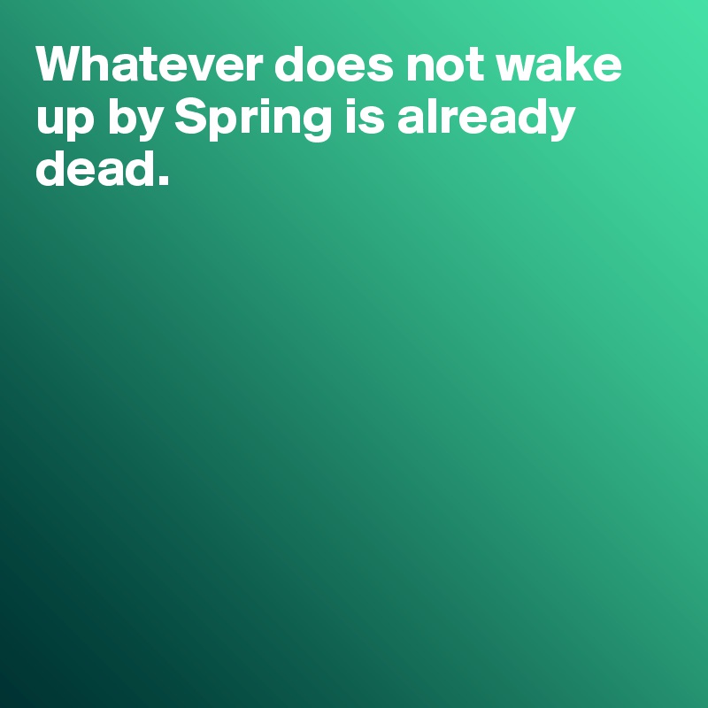 Whatever does not wake up by Spring is already dead. 








 