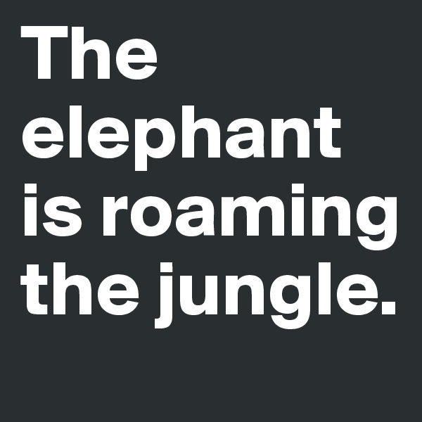 The elephant is roaming the jungle.