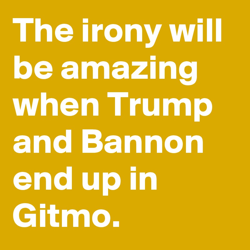The irony will be amazing when Trump and Bannon end up in Gitmo.