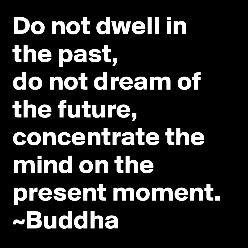 Do not dwell in the past,
do not dream of the future, concentrate the mind on the present moment.
~Buddha