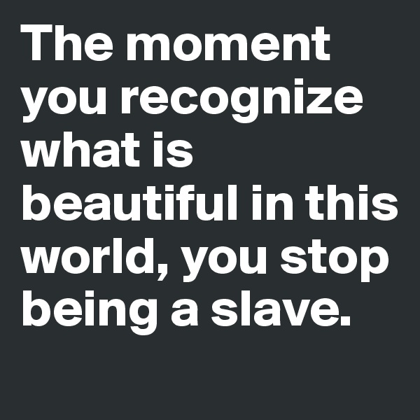 The moment you recognize what is beautiful in this world, you stop being a slave.