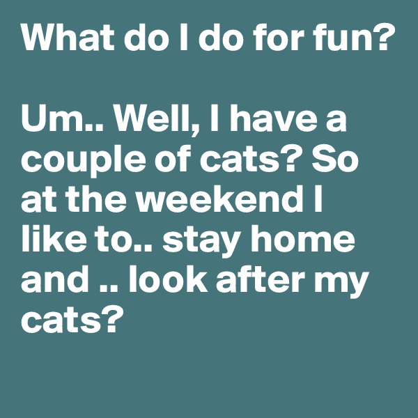 What do I do for fun? 

Um.. Well, I have a couple of cats? So at the weekend I like to.. stay home and .. look after my cats? 
