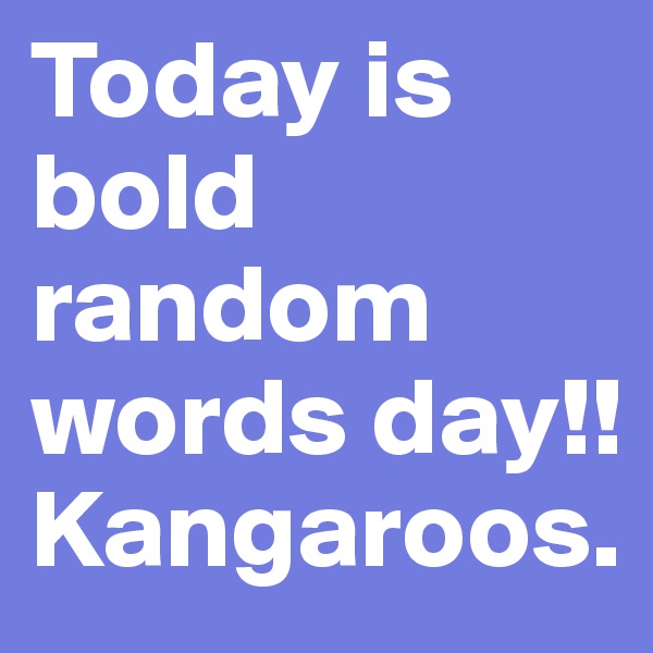 Today is bold random words day!! Kangaroos.