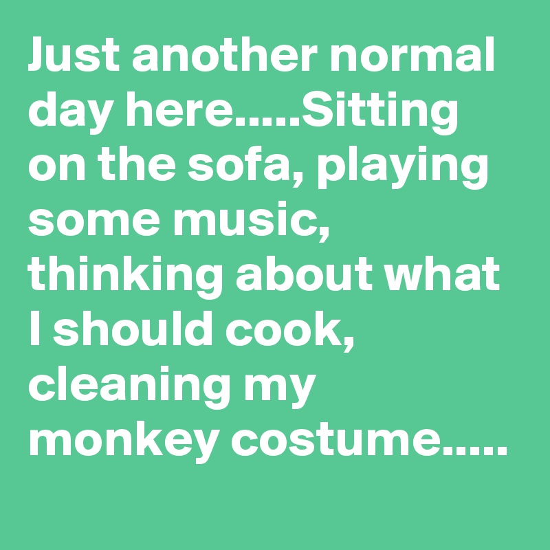 Just another normal day here.....Sitting on the sofa, playing some music, thinking about what I should cook, cleaning my monkey costume.....