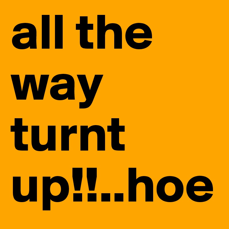 all the way turnt up!!..hoe