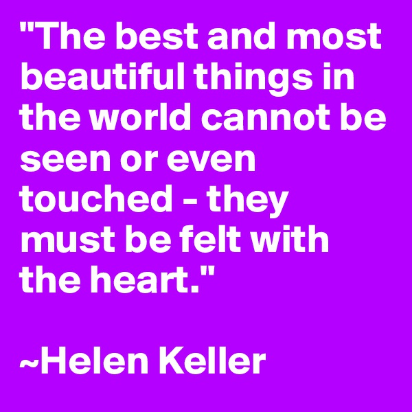 "The best and most beautiful things in the world cannot be seen or even touched - they must be felt with the heart."

~Helen Keller