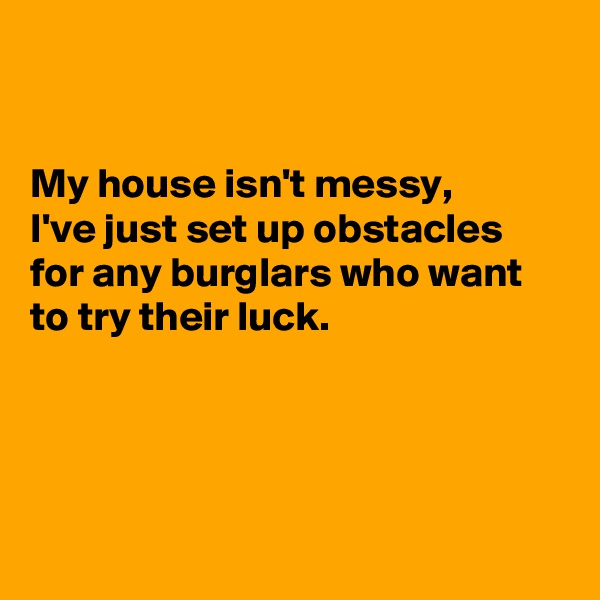 


My house isn't messy,
I've just set up obstacles for any burglars who want to try their luck.




