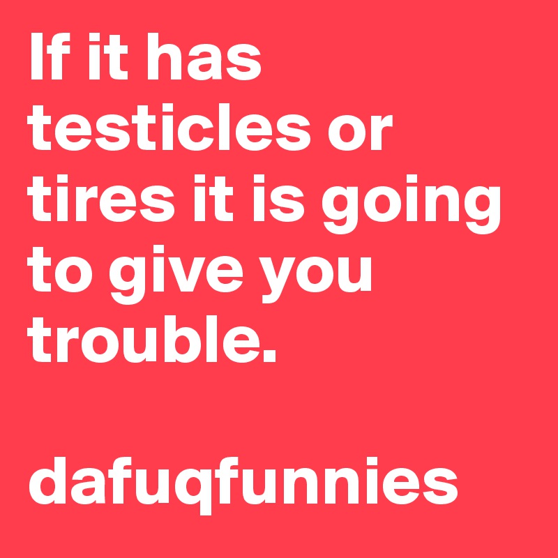 If it has testicles or tires it is going to give you trouble.

dafuqfunnies