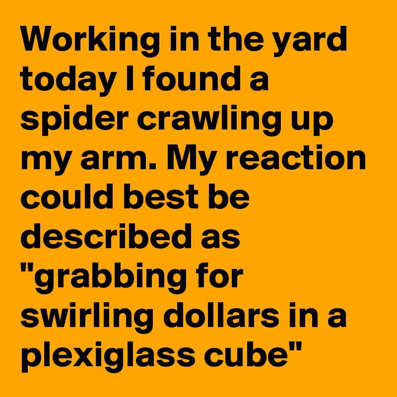 Working in the yard today I found a spider crawling up my arm. My reaction could best be described as "grabbing for swirling dollars in a plexiglass cube"