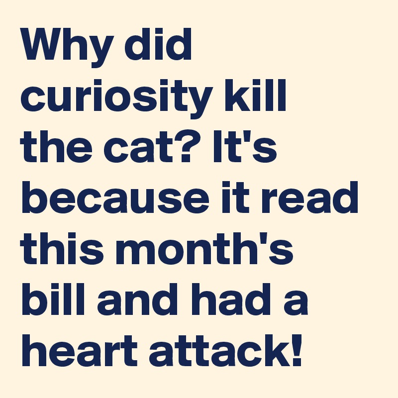 Why did curiosity kill the cat? It's because it read this month's bill and had a heart attack!
