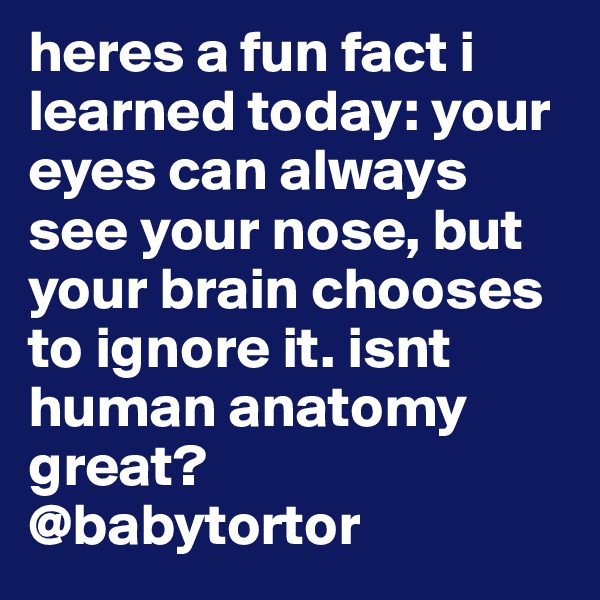 heres a fun fact i learned today: your eyes can always see your nose, but your brain chooses to ignore it. isnt human anatomy great? 
@babytortor