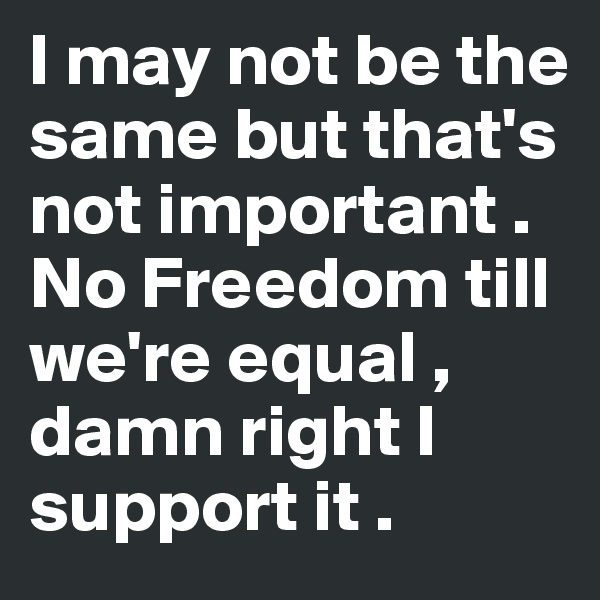 I may not be the same but that's not important . No Freedom till we're equal , damn right I support it .