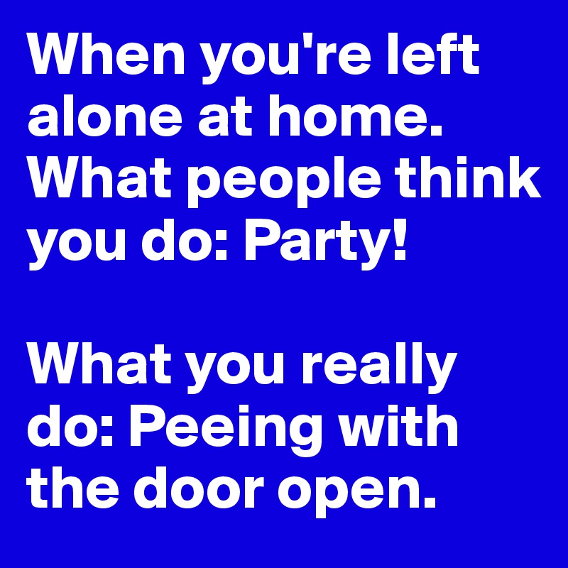 When you're left alone at home. What people think you do: Party! 

What you really do: Peeing with the door open.