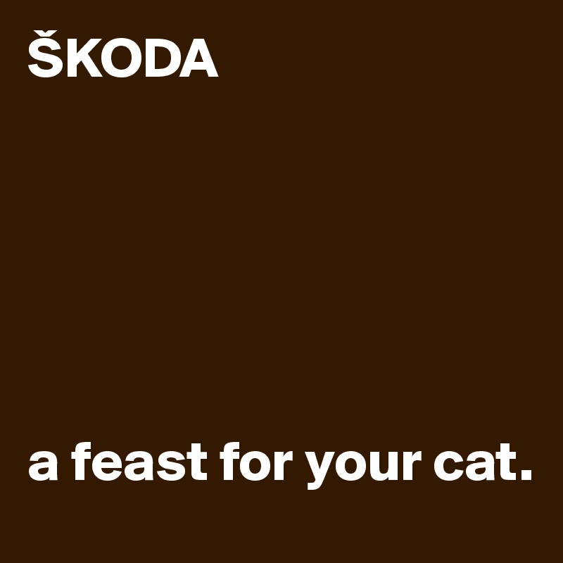 ŠKODA






a feast for your cat.