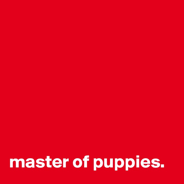 







master of puppies.