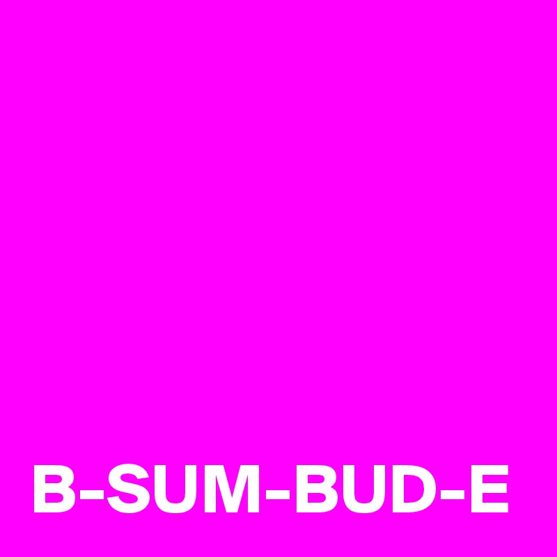 B-SUM-BUD-E