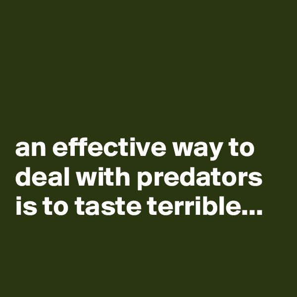 



an effective way to deal with predators is to taste terrible...

