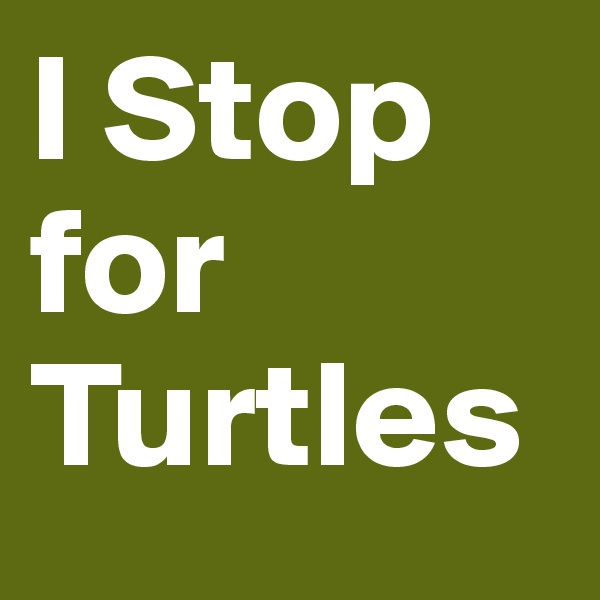I Stop for Turtles