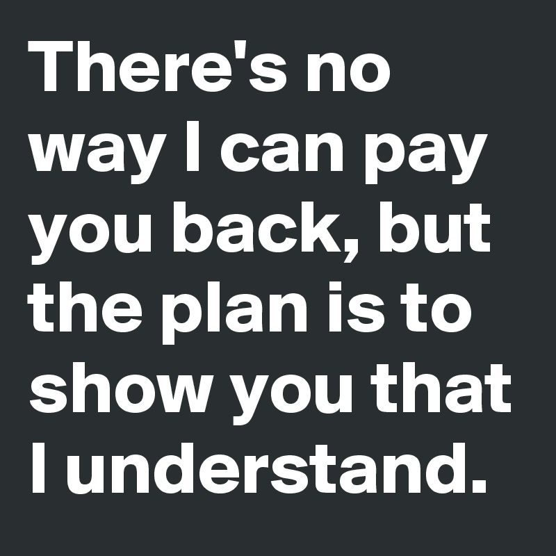 There's no way I can pay you back, but the plan is to show you that I understand. 