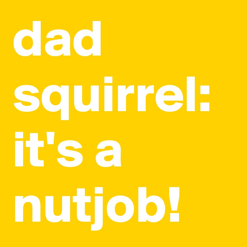 dad squirrel: 
it's a 
nutjob!