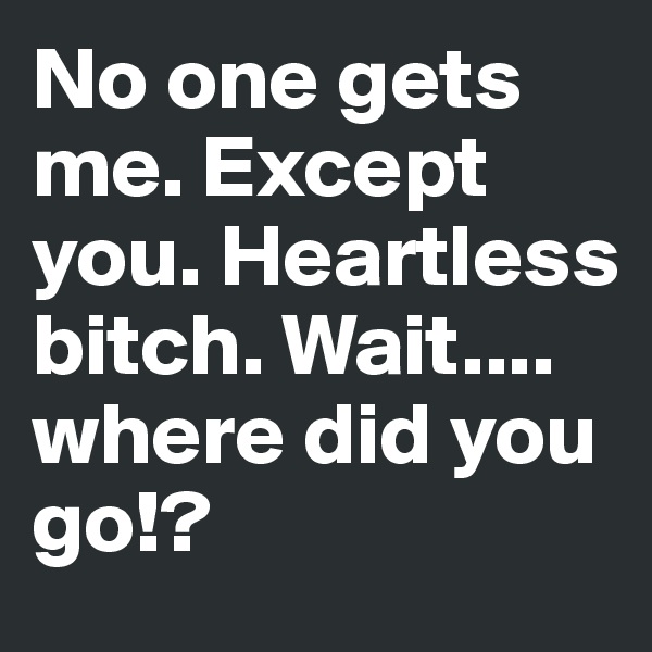 No one gets me. Except you. Heartless bitch. Wait.... where did you go!?
