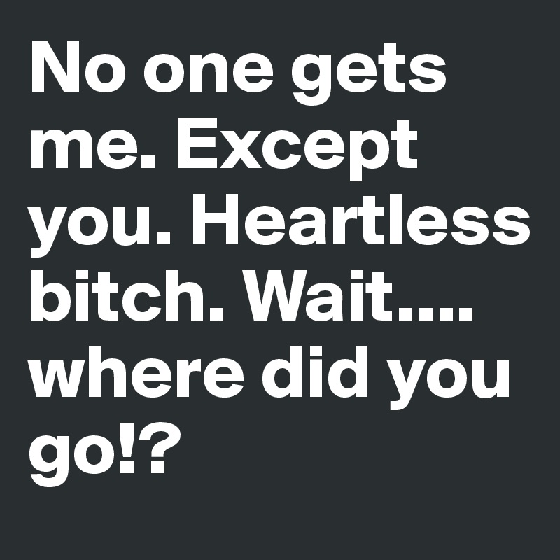 No one gets me. Except you. Heartless bitch. Wait.... where did you go!?